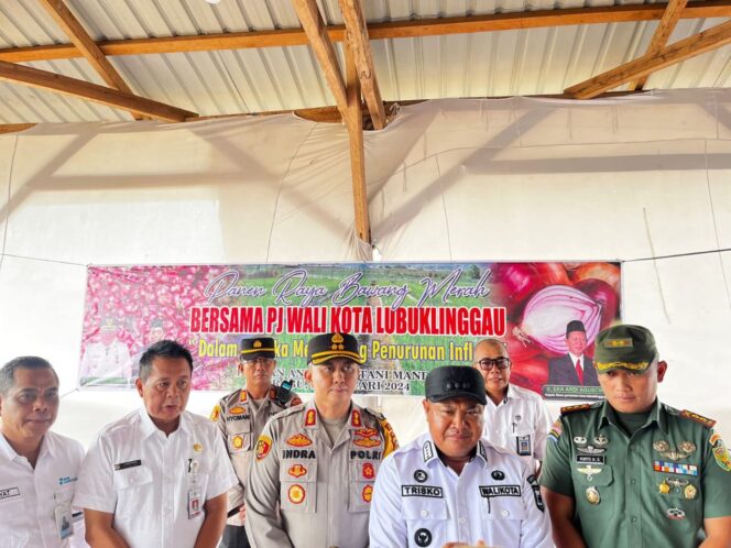 
 Pj Wako dan Forkopimda Panen Raya Bawang Merah