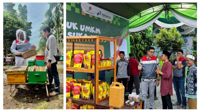 
 Agrosociopreneurship PHE Jambi Merang yang Mengubah Wajah Desa